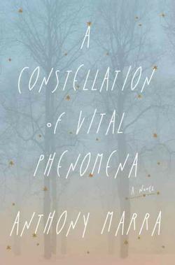 A Constellation Of Vital Phenomena: A Novel