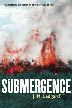 Submergence: A Novel