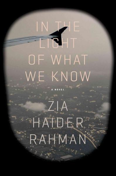 In The Light Of What We Know: A Novel