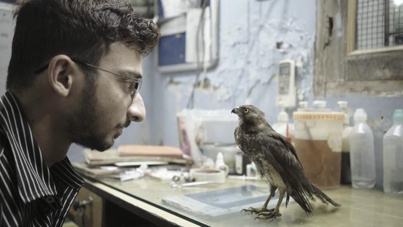 <em>All That Breathes</em> follows brothers Mohammad Saud and Nadeem Shahzad