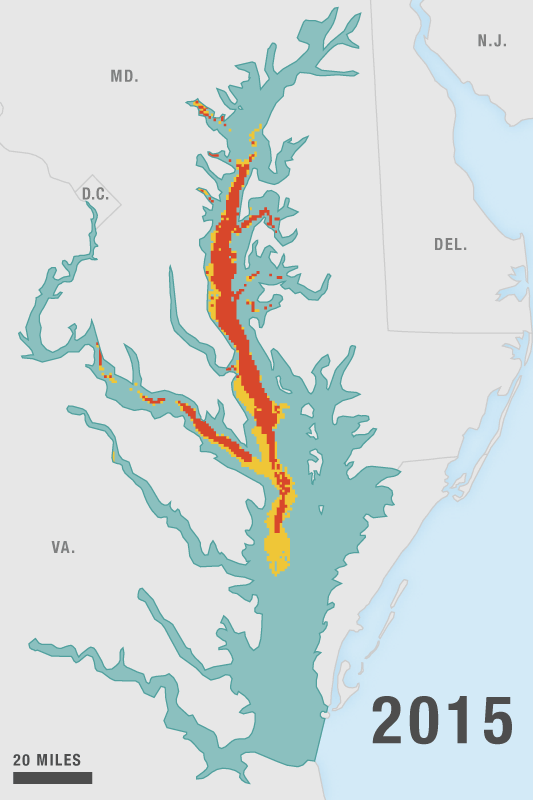 Map of dissolved oxygen levels in the Chesapeake Bay in 2015