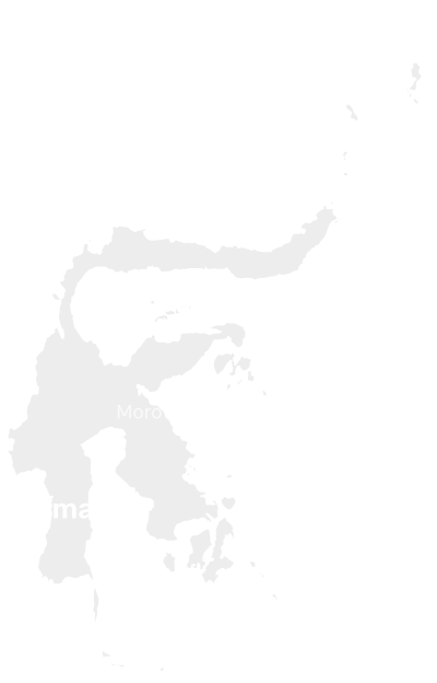 Map of where Pomalaa is located on Sulawesi.