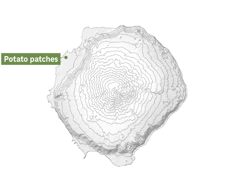 A topographic map of Tristan da Cunha island pointing out the potato patches
