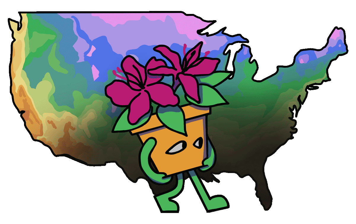 Animation of a cute azalea plant walking in front of the hardiness map
