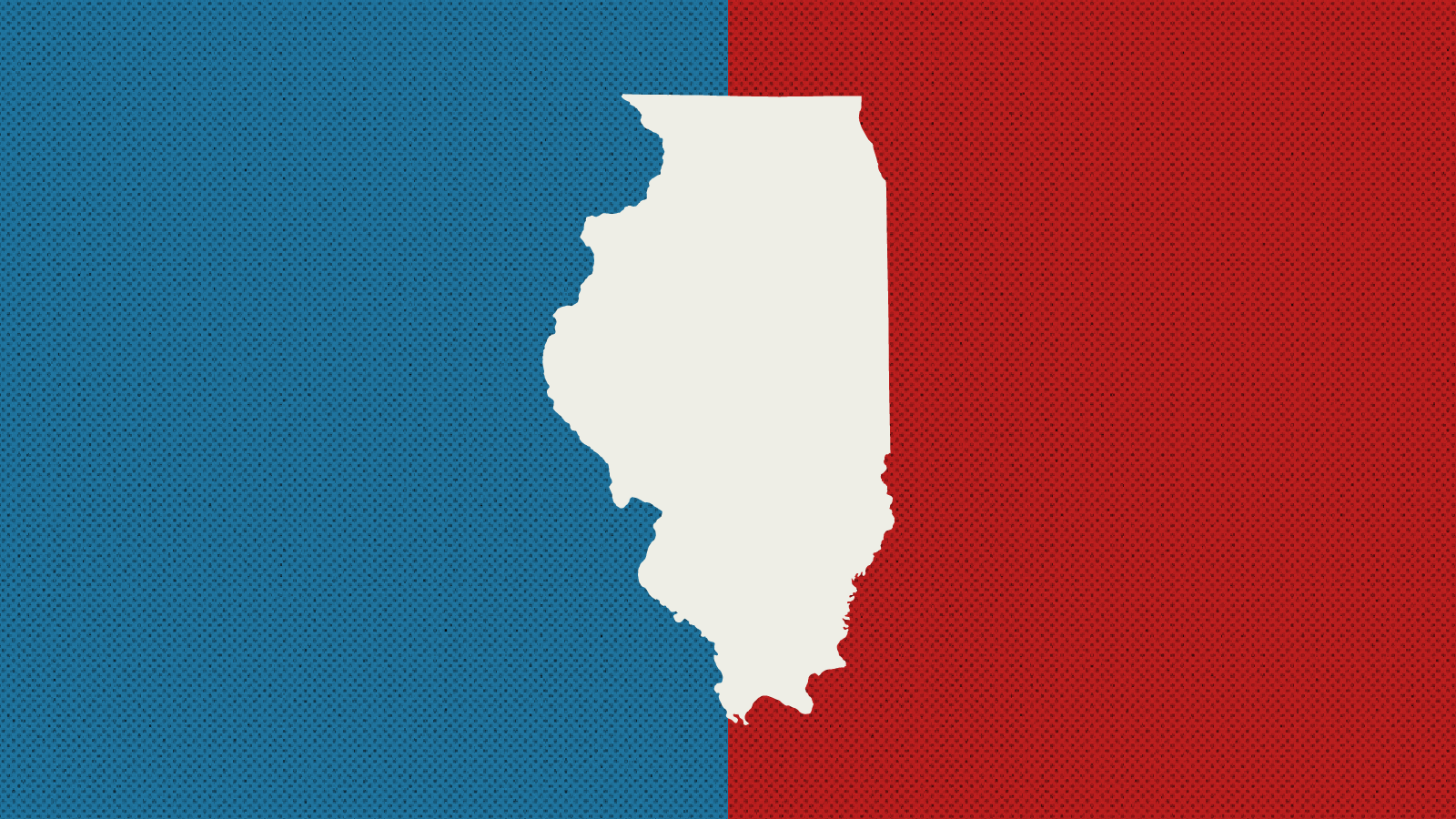 Illinois Primary Election Results 2024 NPR